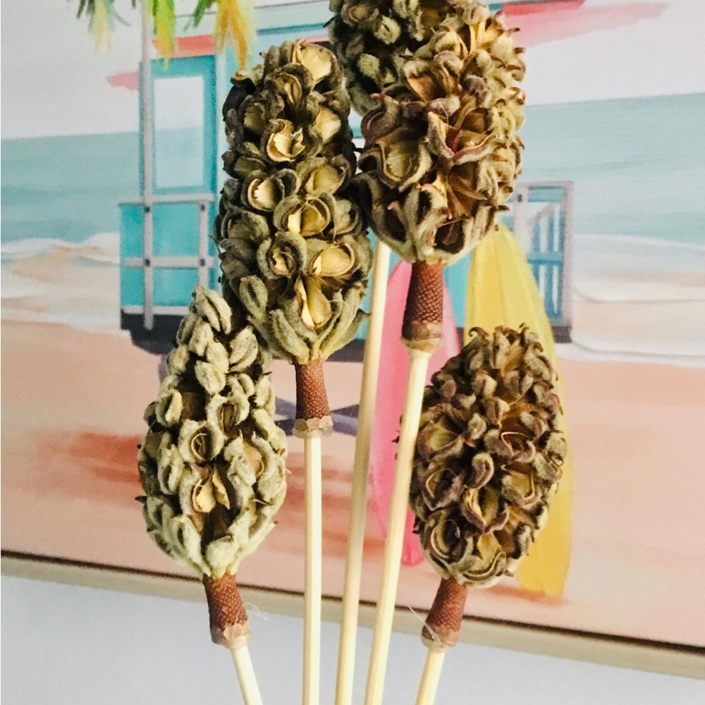 5 pcs Natural Magnolia Accents